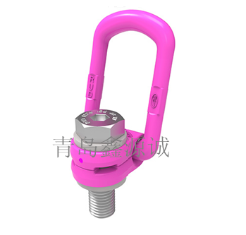 德國RUD/ VLBG/VLBG- PLUS進口旋轉吊環(huán)/進口吊環(huán)